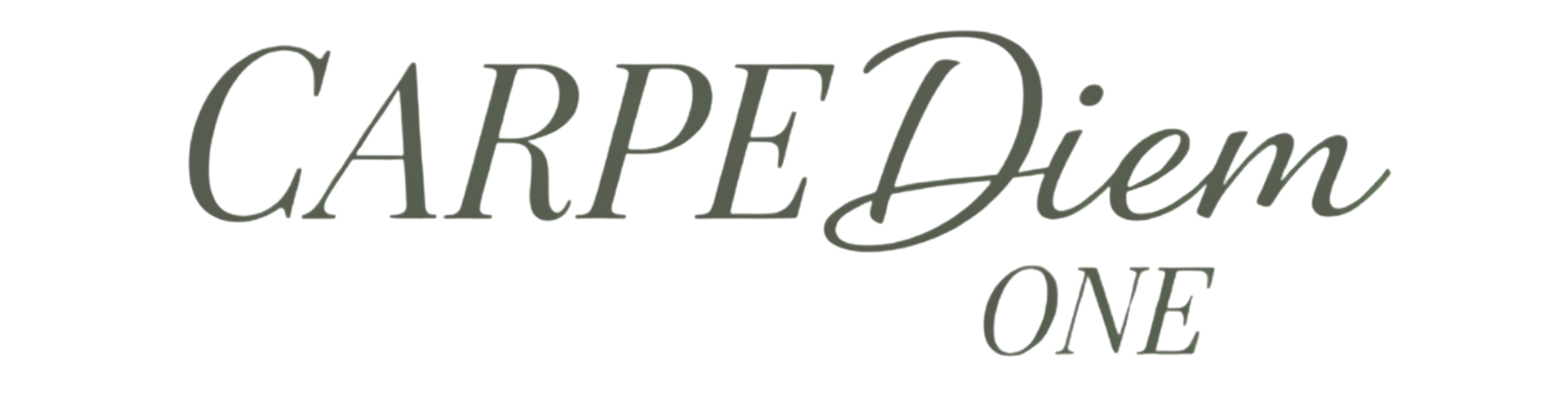 CARPE Diem ONE